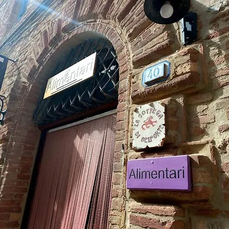 La Casa Del Gallo Apartment Radicondoli