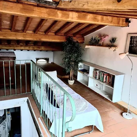 La Casa Del Gallo *