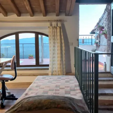 La Casa Del Gallo
