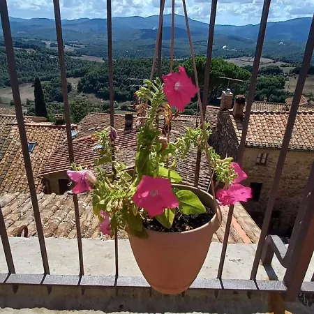La Casa Del Gallo *