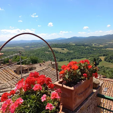 La Casa Del Gallo