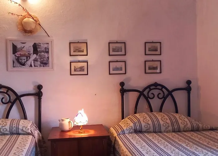 La Casa Del Gallo *